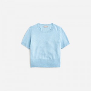 J.Crew Cashmere shrunken T-shirt Hthr River Online | 87HVBSFTU