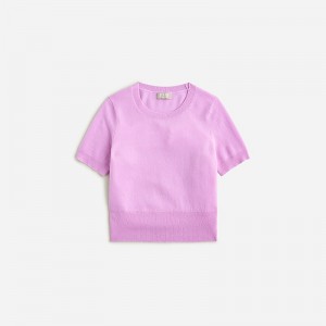 J.Crew Cashmere shrunken T-shirt Muted Orchid Outlet | 95MKUDXCA