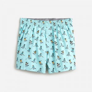 J.Crew Printed boxers Gold Racoon Aqua Multi Sale | 26WRNXULA