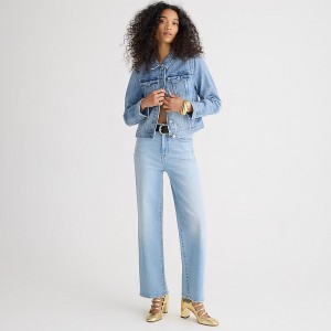 J.Crew Slim wide-leg jean Elia Wash Factory Outlet | 53TLERPQZ