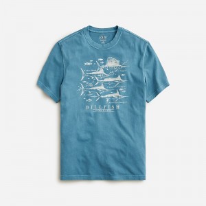 J.Crew Vintage-wash cotton graphic T-shirt Atlantic Billfish Graph Factory Promo | 69TJKXEFV